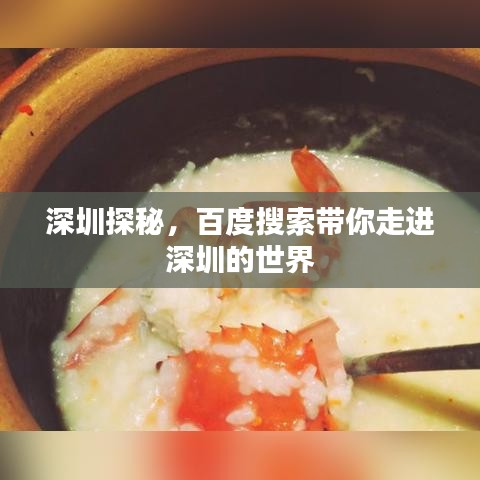深圳探秘，百度搜索带你走进深圳的世界