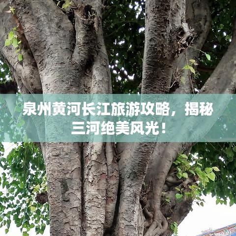 泉州黄河长江旅游攻略，揭秘三河绝美风光！