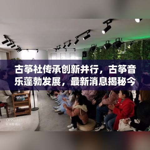 古筝社传承创新并行，古筝音乐蓬勃发展，最新消息揭秘今日动态