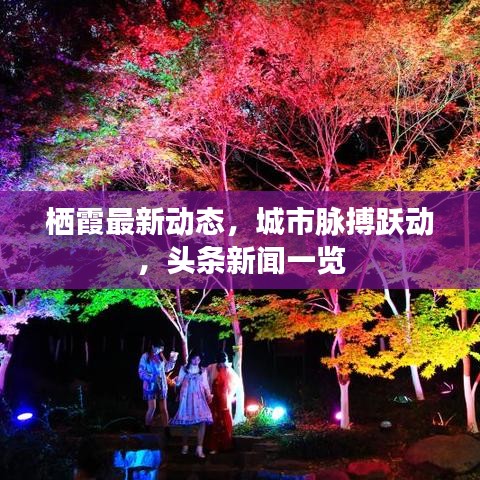 栖霞最新动态，城市脉搏跃动，头条新闻一览