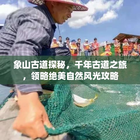 象山古道探秘，千年古道之旅，领略绝美自然风光攻略