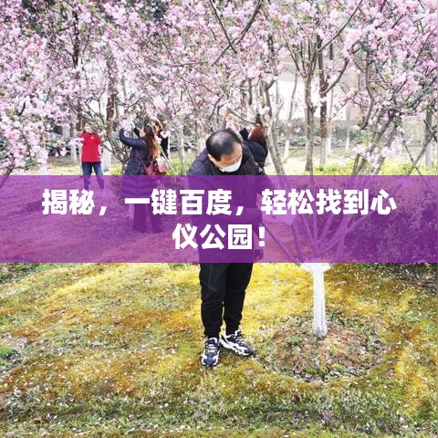 揭秘，一键百度，轻松找到心仪公园！