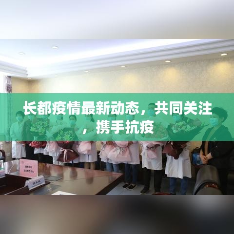 公司动态 第229页