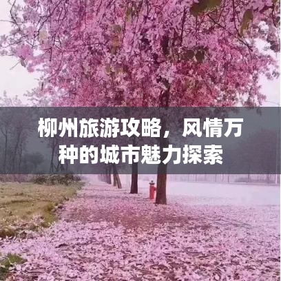 柳州旅游攻略，风情万种的城市魅力探索