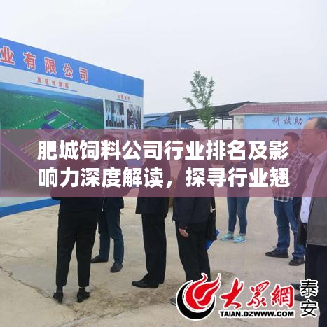 肥城饲料公司行业排名及影响力深度解读，探寻行业翘楚的崛起之路