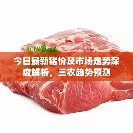 今日最新猪价及市场走势深度解析，三农趋势预测