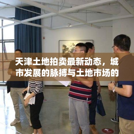 天津土地拍卖最新动态，城市发展的脉搏与土地市场的活跃交锋