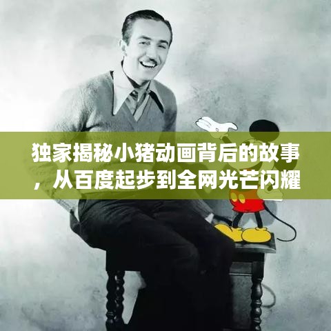 独家揭秘小猪动画背后的故事，从百度起步到全网光芒闪耀的传奇之旅