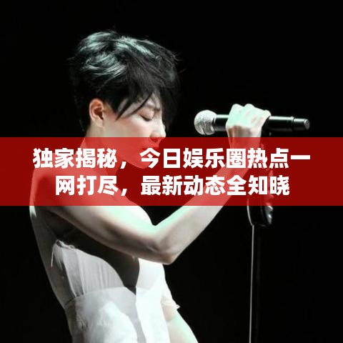 独家揭秘，今日娱乐圈热点一网打尽，最新动态全知晓