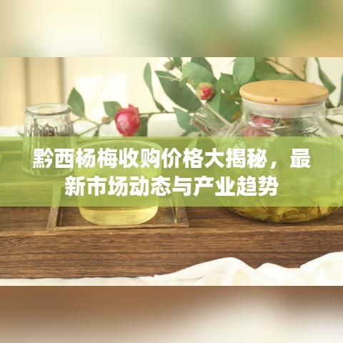黔西杨梅收购价格大揭秘，最新市场动态与产业趋势