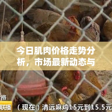 今日肌肉价格走势分析，市场最新动态与购买建议