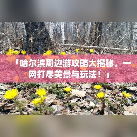 「哈尔滨周边游攻略大揭秘，一网打尽美景与玩法！」
