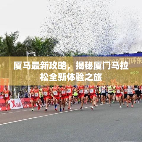 厦马最新攻略，揭秘厦门马拉松全新体验之旅