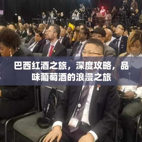 巴西红酒之旅，深度攻略，品味葡萄酒的浪漫之旅