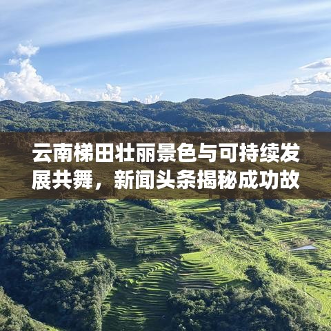 云南梯田壮丽景色与可持续发展共舞，新闻头条揭秘成功故事