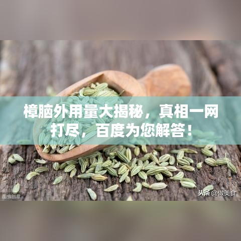 樟脑外用量大揭秘，真相一网打尽，百度为您解答！
