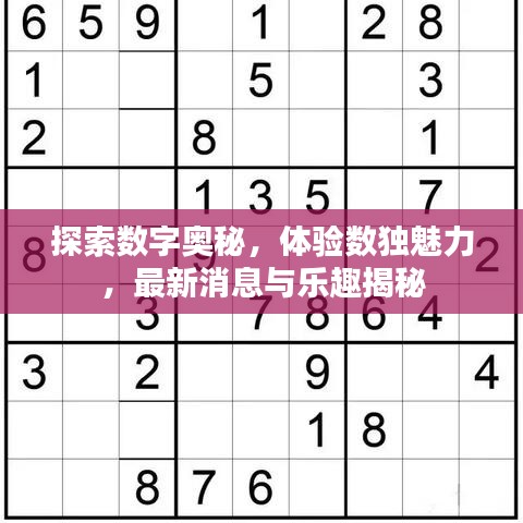 探索数字奥秘，体验数独魅力，最新消息与乐趣揭秘