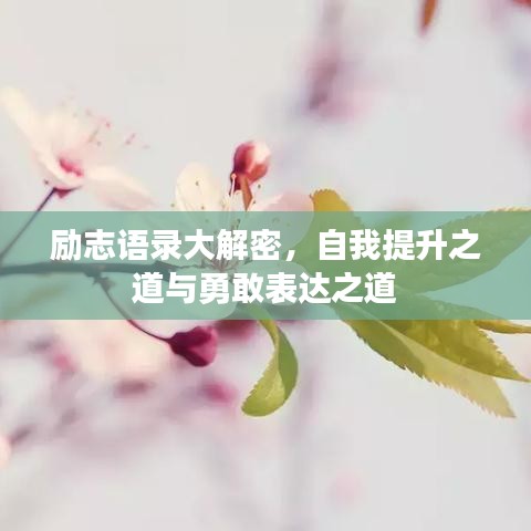 励志语录大解密，自我提升之道与勇敢表达之道