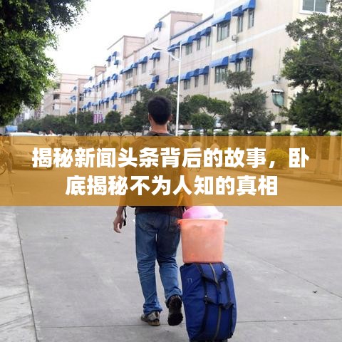 揭秘新闻头条背后的故事，卧底揭秘不为人知的真相