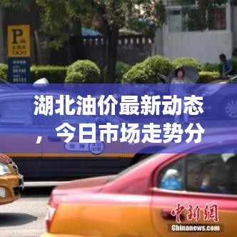 湖北油价最新动态，今日市场走势分析及未来展望