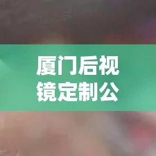 厦门后视镜定制公司排名榜单揭晓！独家揭秘行业巨头！