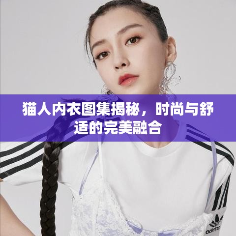 猫人内衣图集揭秘，时尚与舒适的完美融合