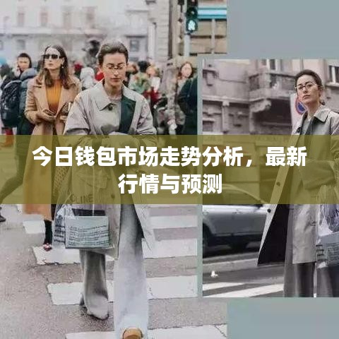 今日钱包市场走势分析，最新行情与预测