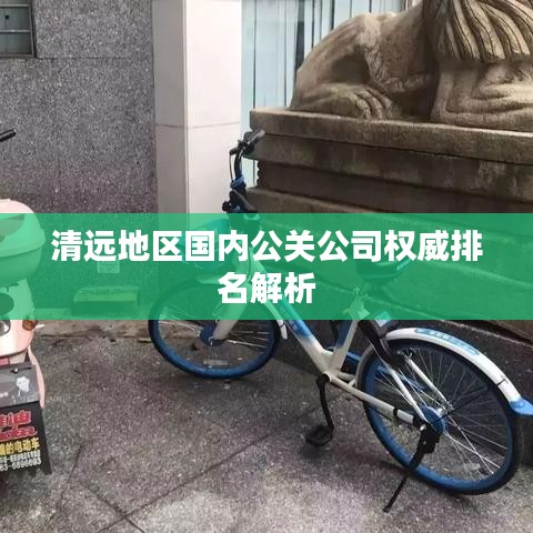 清远地区国内公关公司权威排名解析
