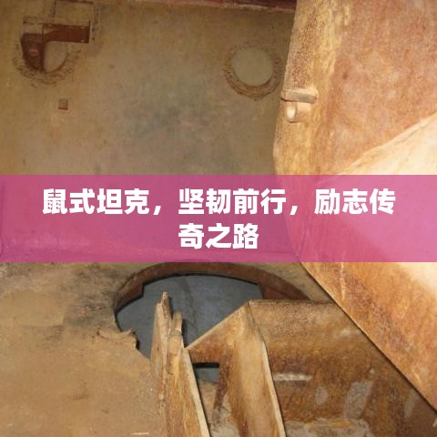 鼠式坦克，坚韧前行，励志传奇之路