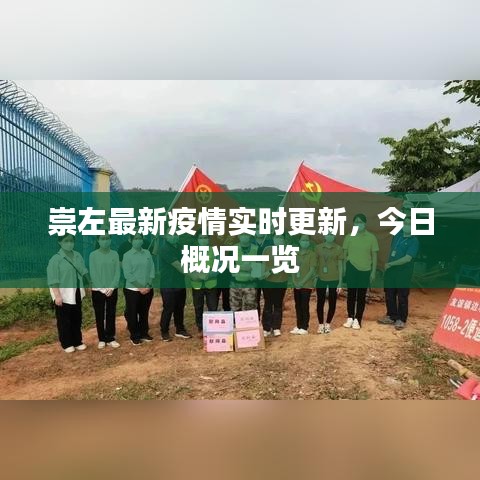 崇左最新疫情实时更新，今日概况一览