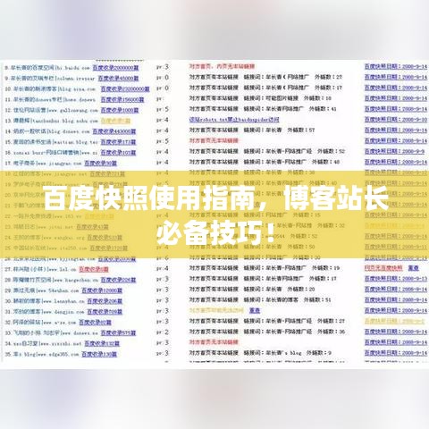百度快照使用指南，博客站长必备技巧！