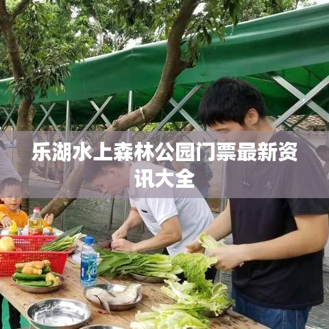 乐湖水上森林公园门票最新资讯大全