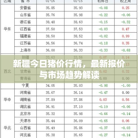 新疆今日猪价行情，最新报价与市场趋势解读