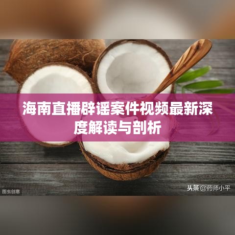 海南直播辟谣案件视频最新深度解读与剖析