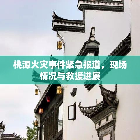 桃源火灾事件紧急报道，现场情况与救援进展