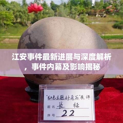 江安事件最新进展与深度解析，事件内幕及影响揭秘