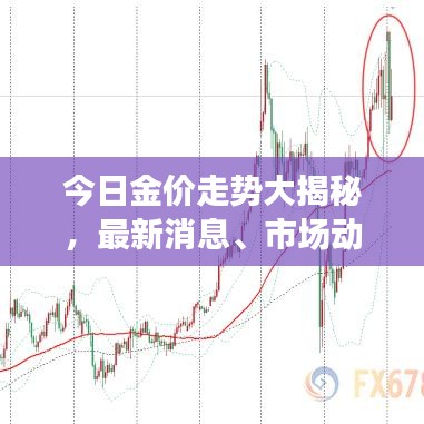 今日金价走势大揭秘，最新消息、市场动向与影响因素深度解析