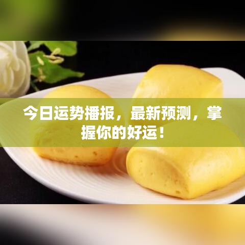 今日运势播报，最新预测，掌握你的好运！