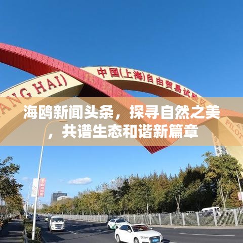 海鸥新闻头条，探寻自然之美，共谱生态和谐新篇章
