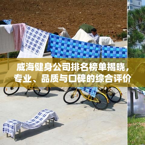 威海健身公司排名榜单揭晓，专业、品质与口碑的综合评价榜单大揭秘