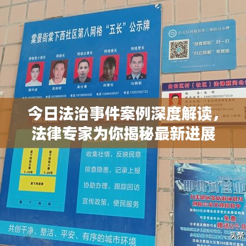 今日法治事件案例深度解读，法律专家为你揭秘最新进展