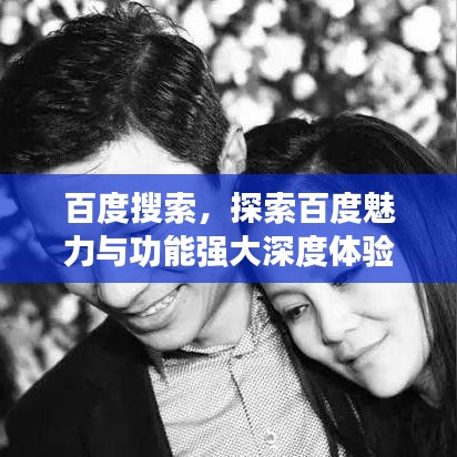 百度搜索，探索百度魅力与功能强大深度体验