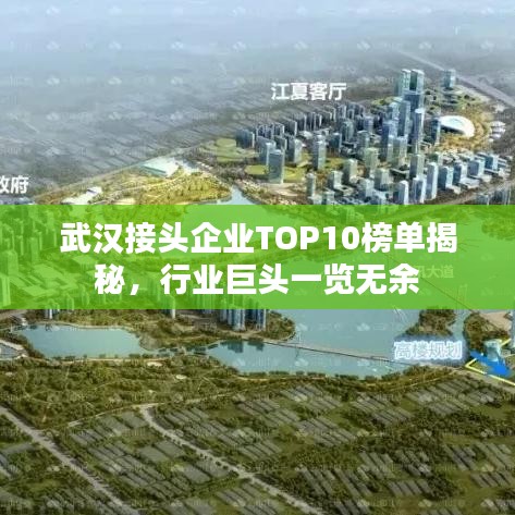 武汉接头企业TOP10榜单揭秘，行业巨头一览无余