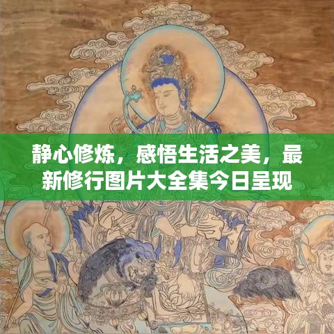 静心修炼，感悟生活之美，最新修行图片大全集今日呈现