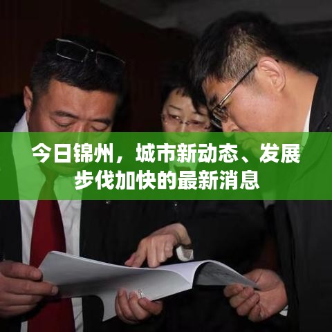 今日锦州，城市新动态、发展步伐加快的最新消息