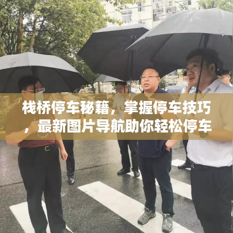 栈桥停车秘籍，掌握停车技巧，最新图片导航助你轻松停车！