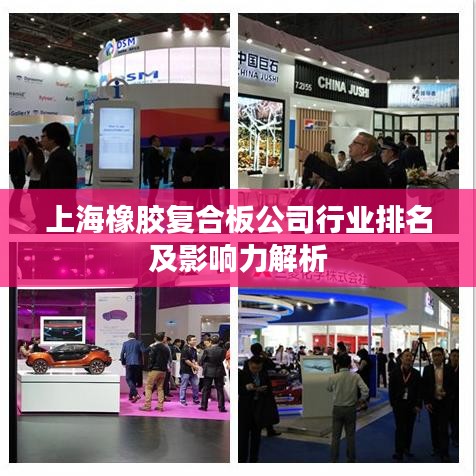 上海橡胶复合板公司行业排名及影响力解析