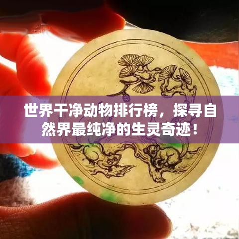 世界干净动物排行榜，探寻自然界最纯净的生灵奇迹！
