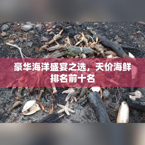 豪华海洋盛宴之选，天价海鲜排名前十名