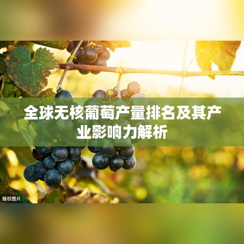 全球无核葡萄产量排名及其产业影响力解析